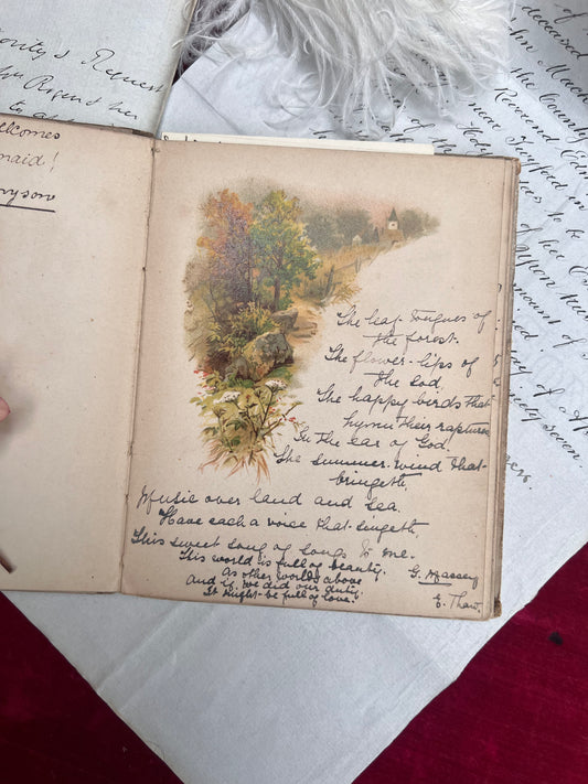 1899 Manuscript Album Lithographs