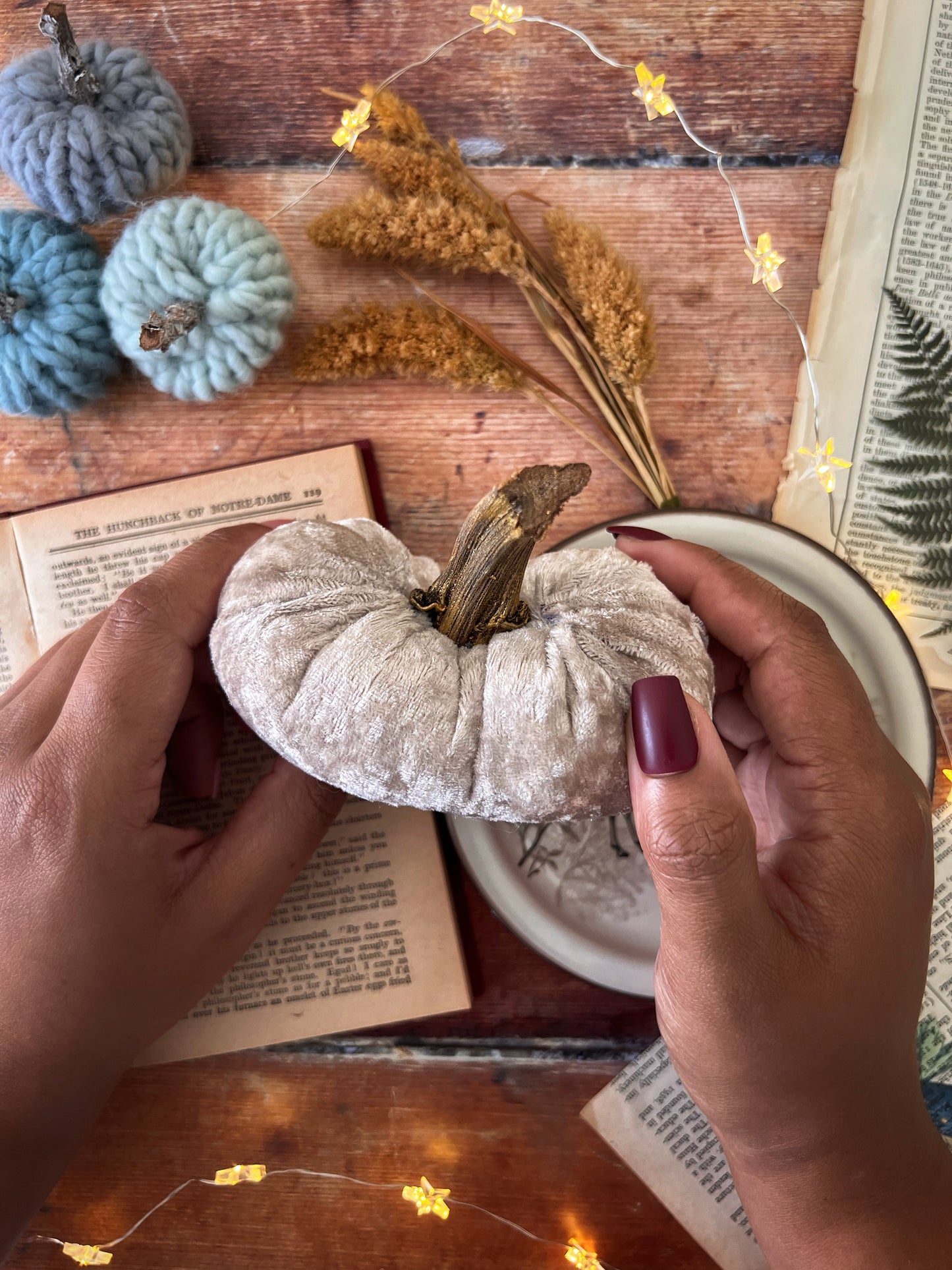 Mini velvet pumpkin champagne with gold stalk