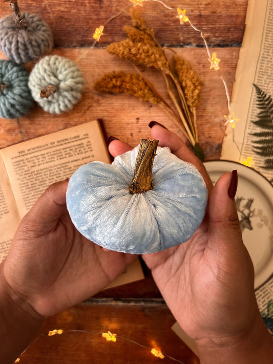 Mini velvet pumpkin iced blue with gold stalk
