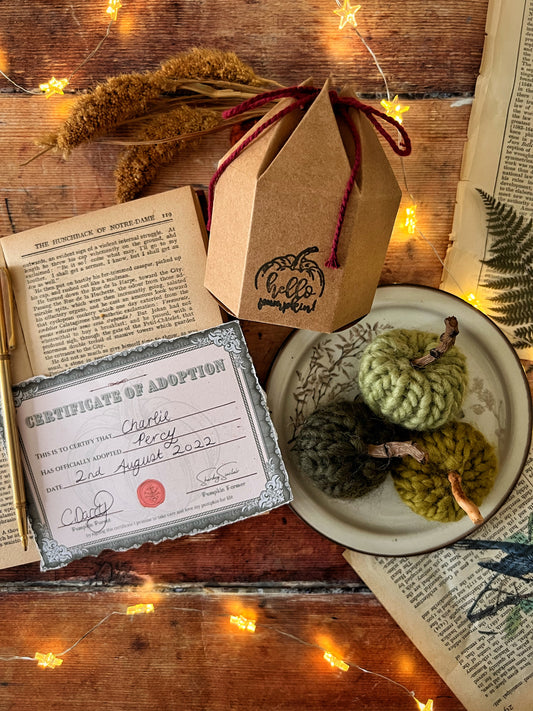 Adopt a pumpkin green collection