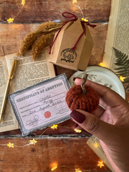 Adopt a pumpkin orange collection