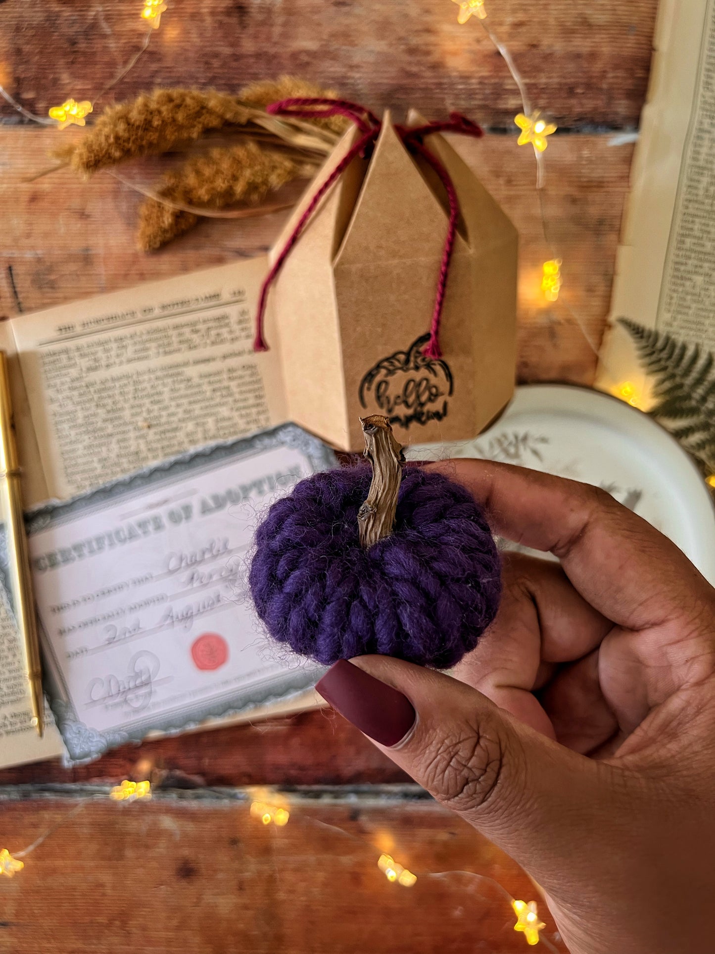 Adopt a pumpkin purple collection