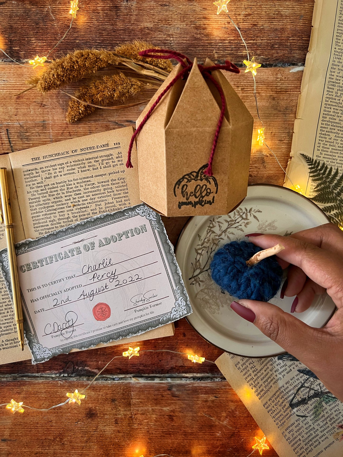 Adopt a pumpkin blue collection