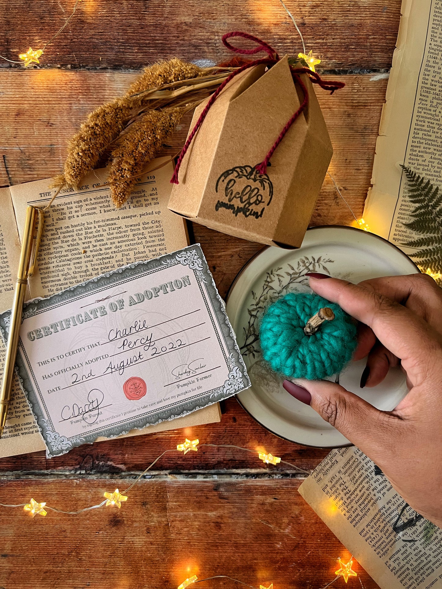 Adopt a pumpkin blue collection
