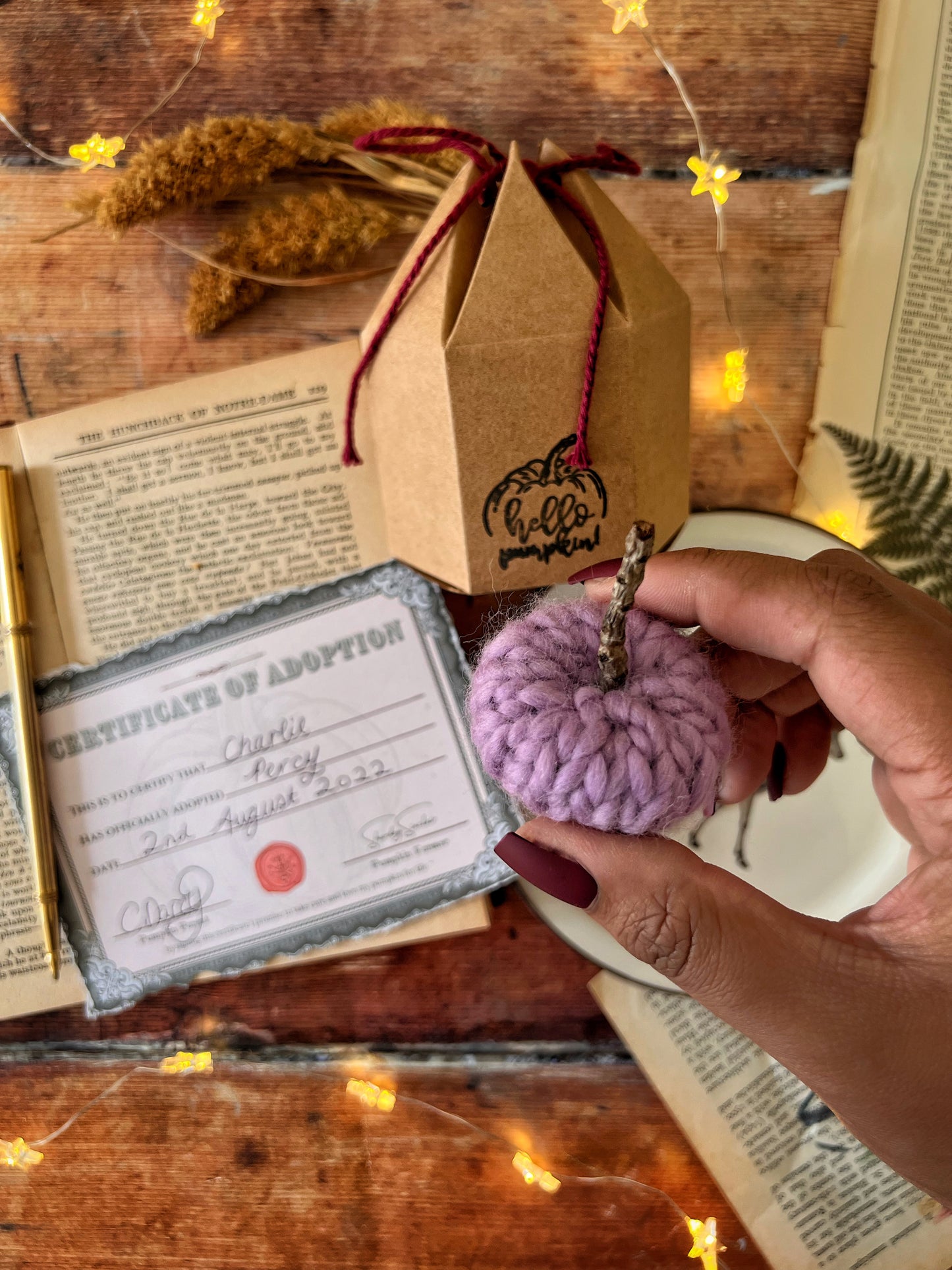 Adopt a pumpkin purple collection
