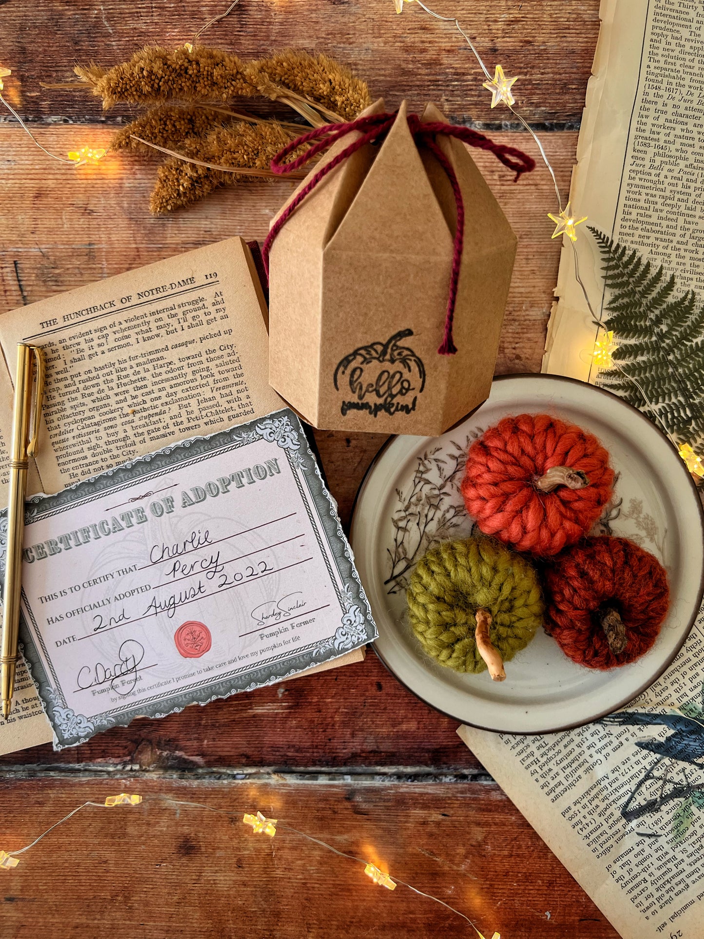 Adopt a pumpkin orange collection