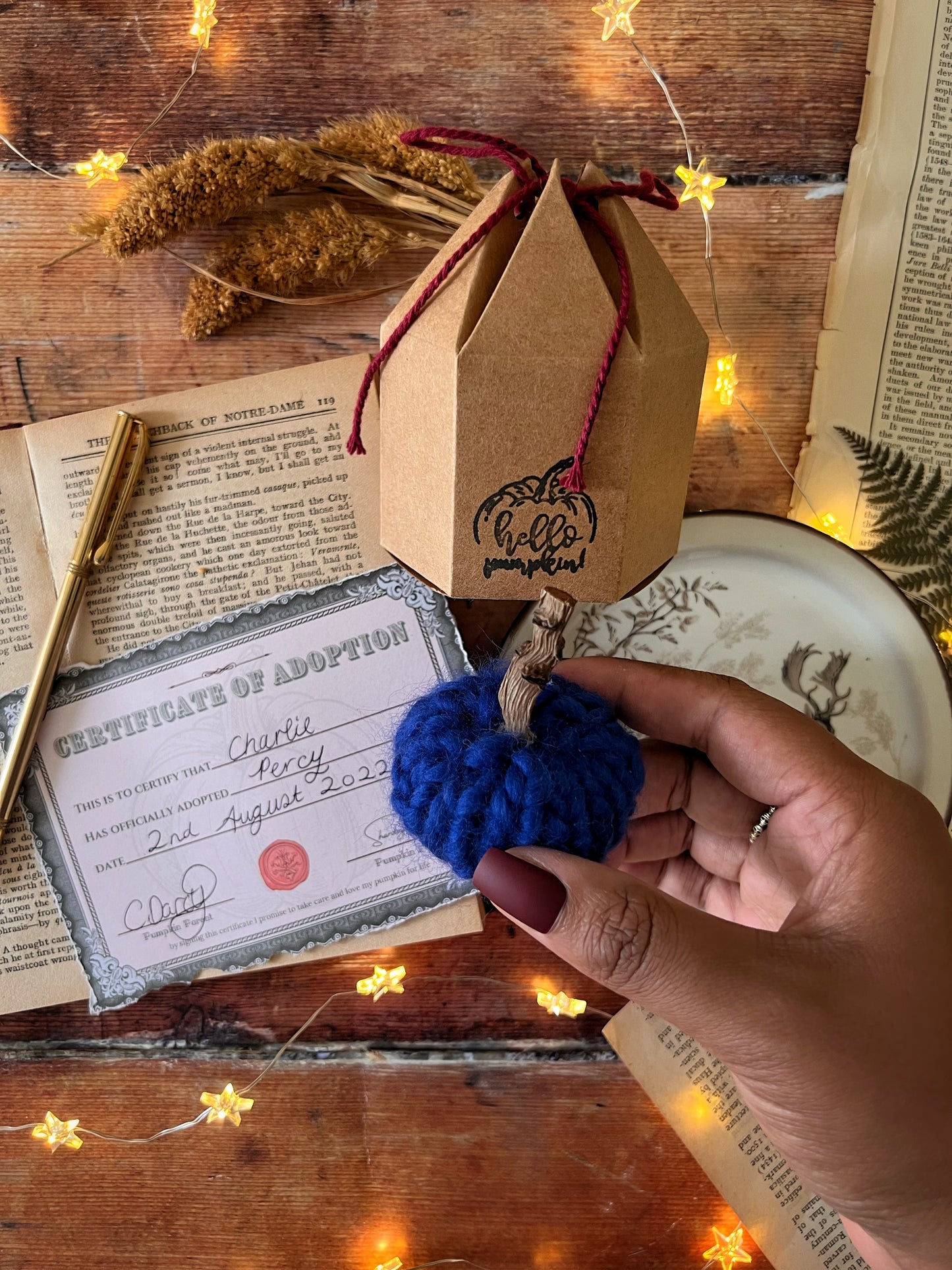 Adopt a pumpkin blue collection