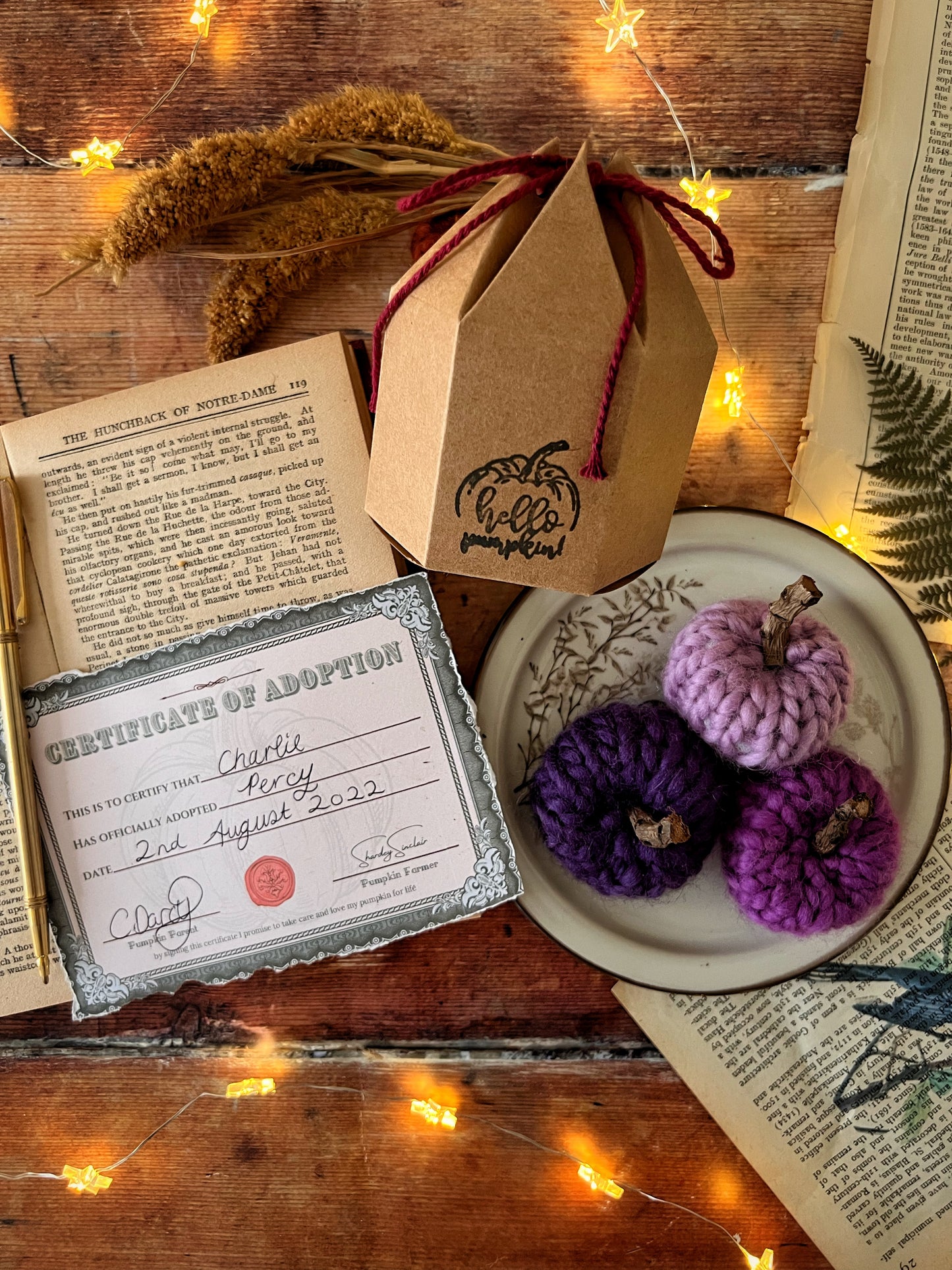 Adopt a pumpkin purple collection