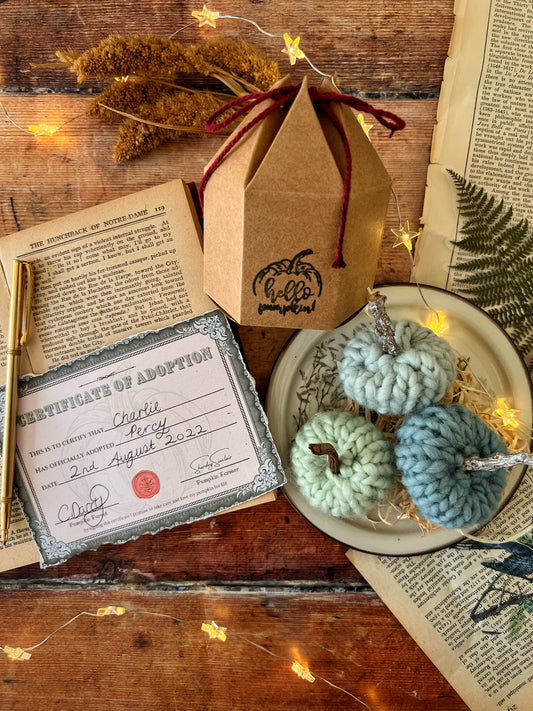 Adopt a pumpkin blue collection