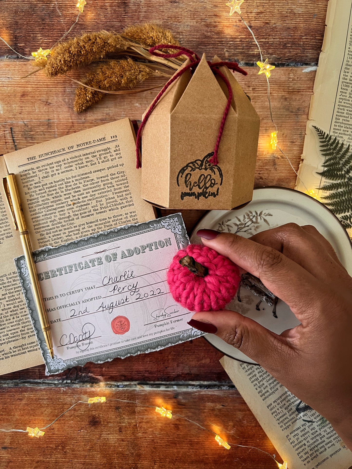 Adopt a pumpkin pink collection