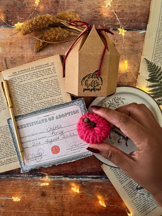 Adopt a pumpkin pink collection